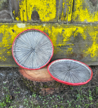 Spore Plates